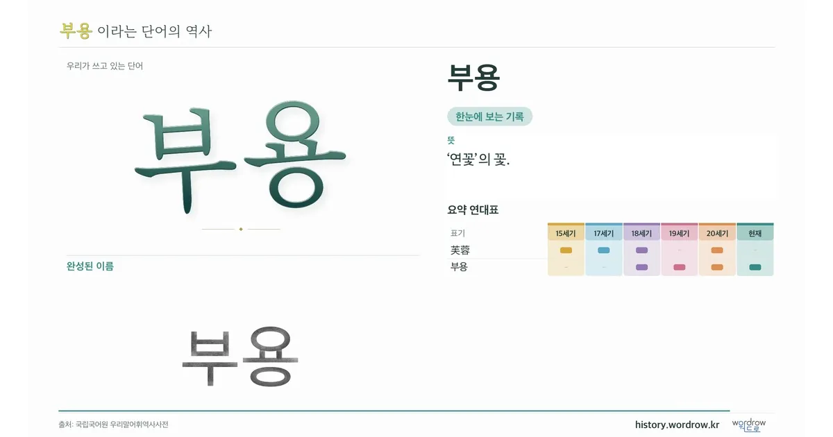부용 대표 이미지
