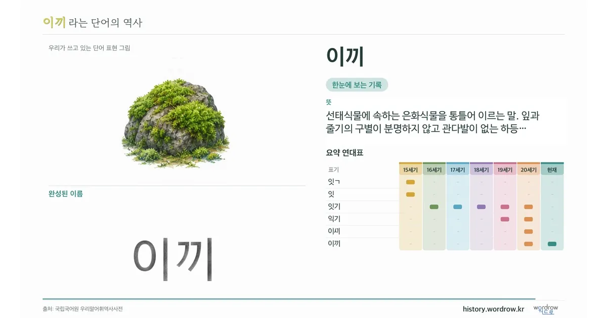 이끼 대표 이미지