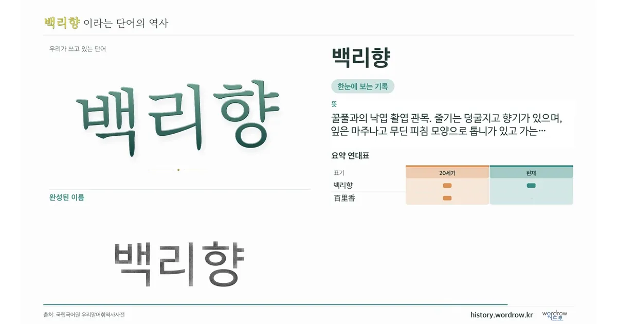백리향 대표 이미지