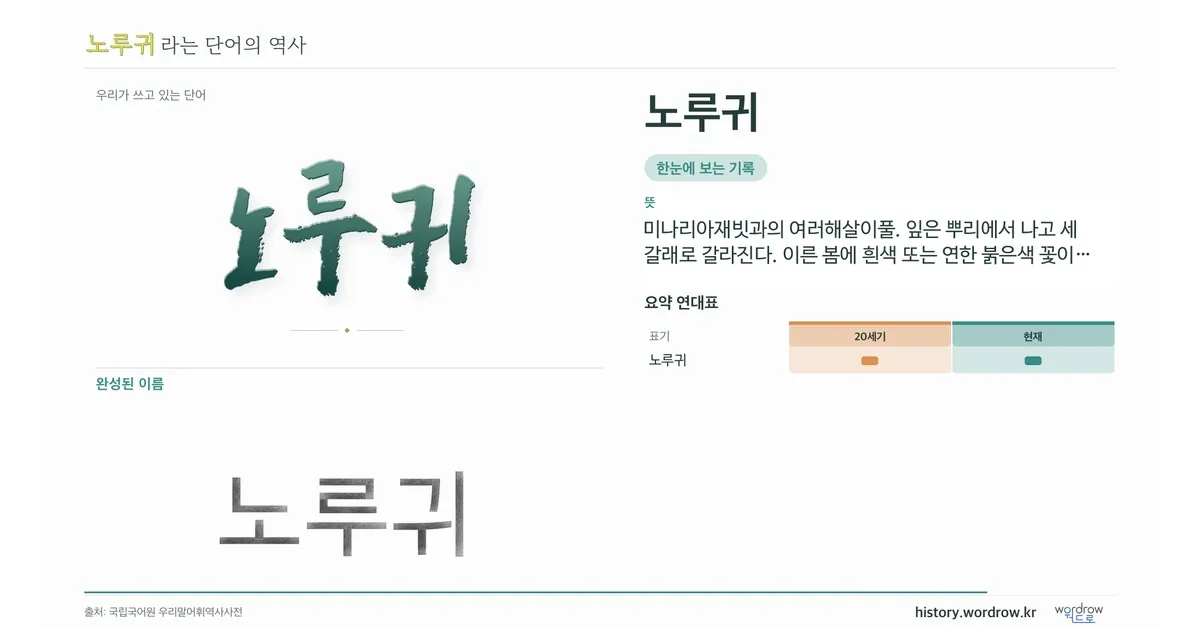 노루귀 대표 이미지