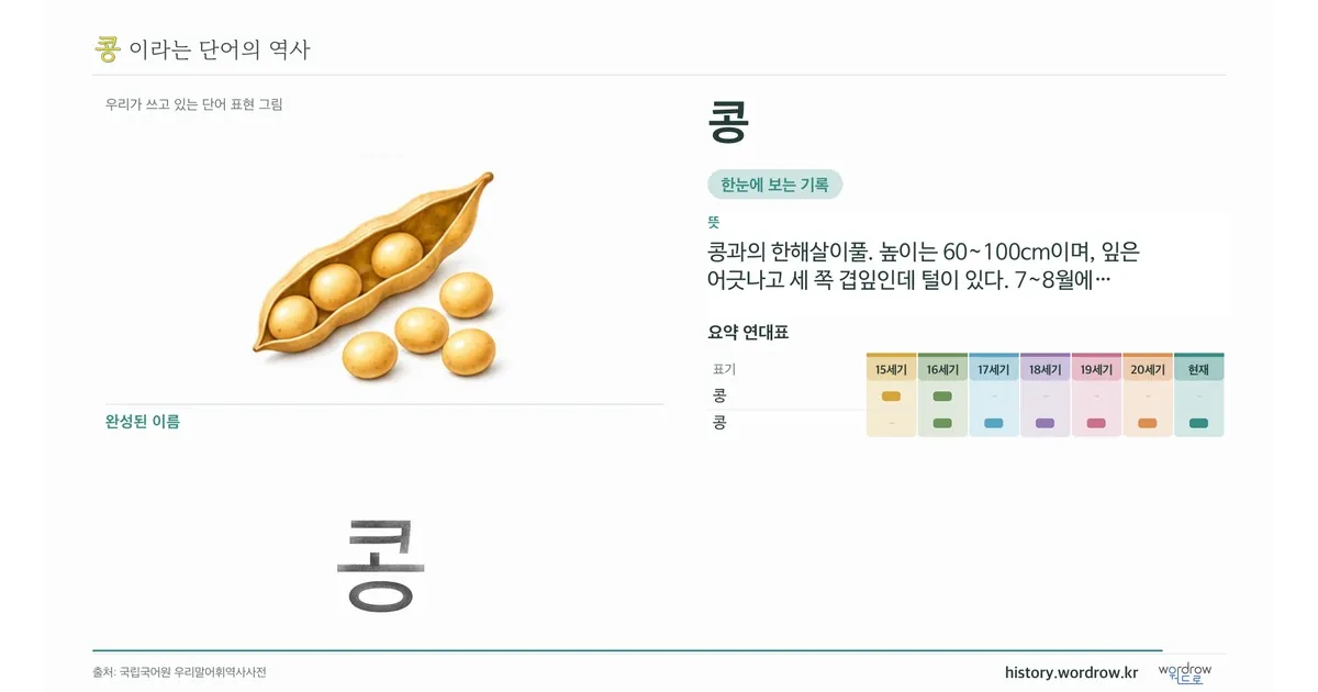콩 대표 이미지