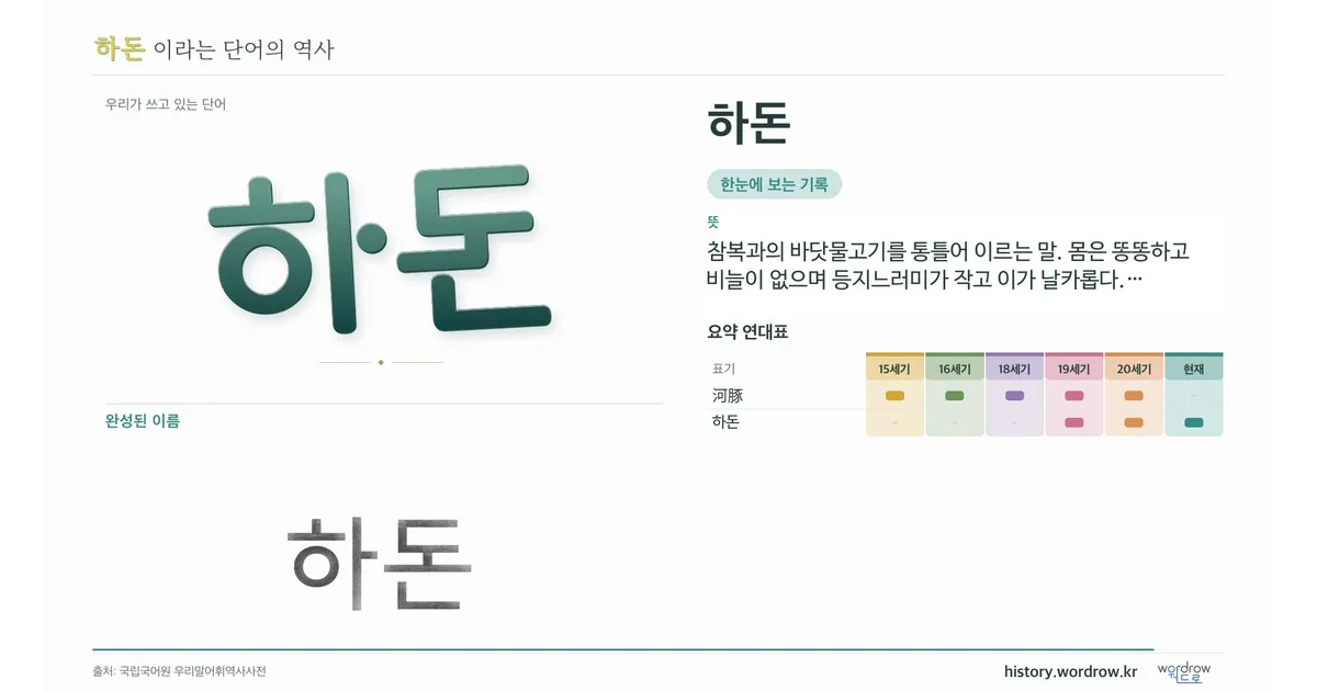 하돈의 완성 영상 포스터