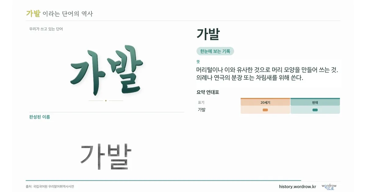 가발 대표 이미지