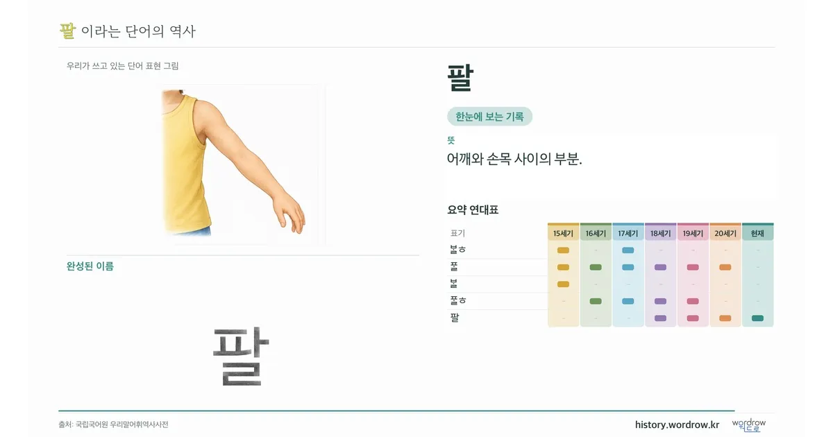팔 대표 이미지