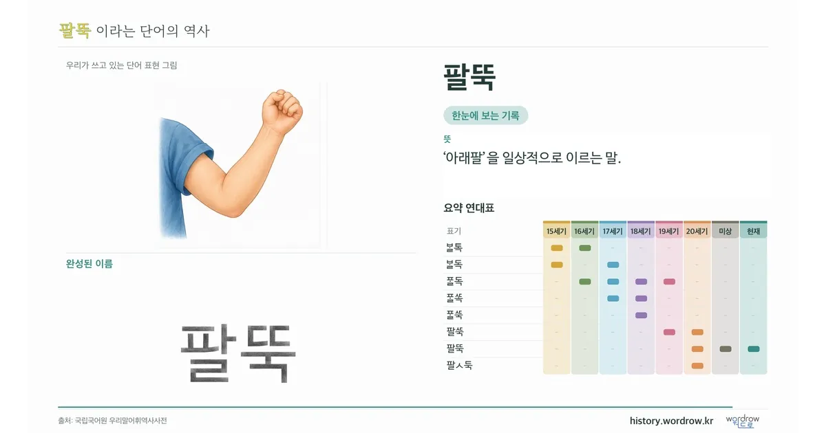 팔뚝 대표 이미지