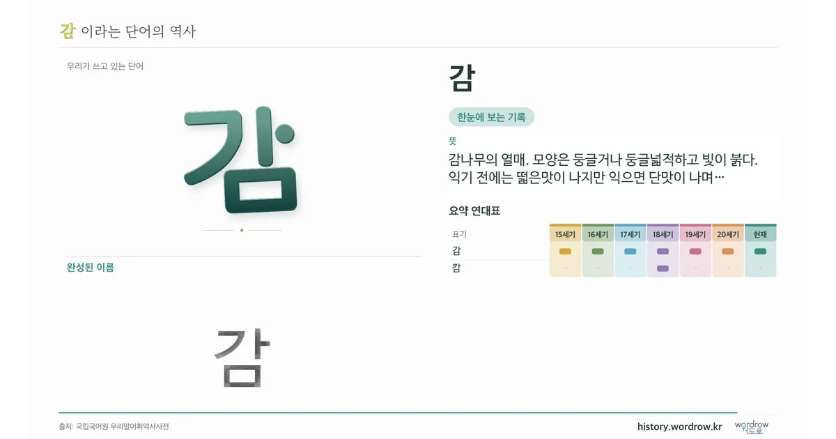 감 대표 이미지