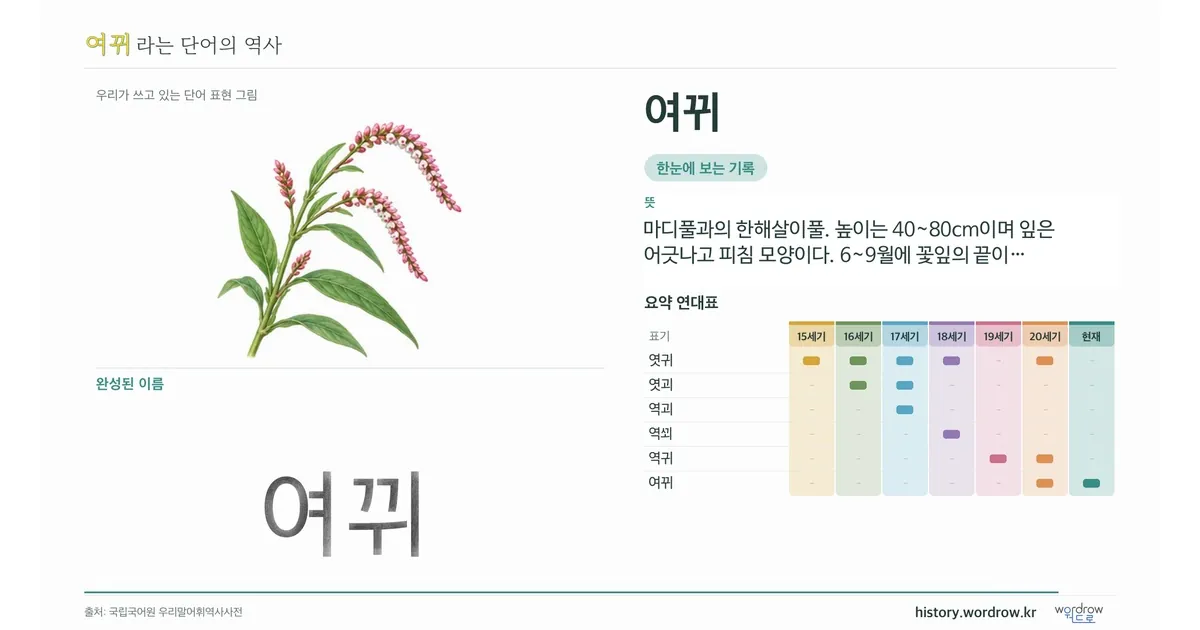여뀌 대표 이미지
