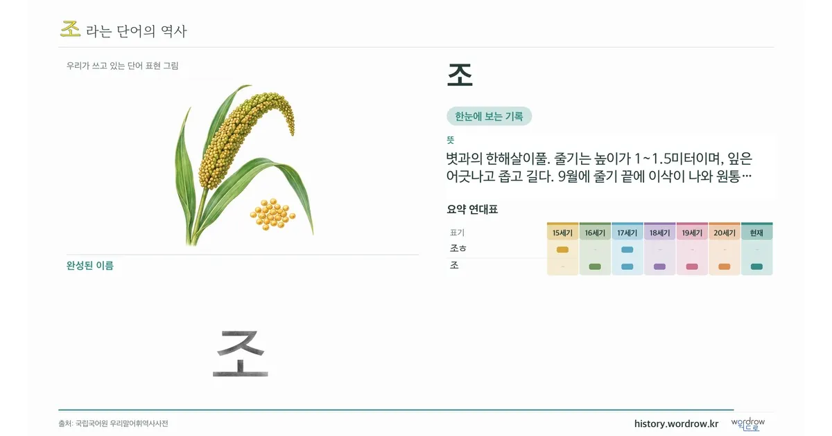 조 대표 이미지