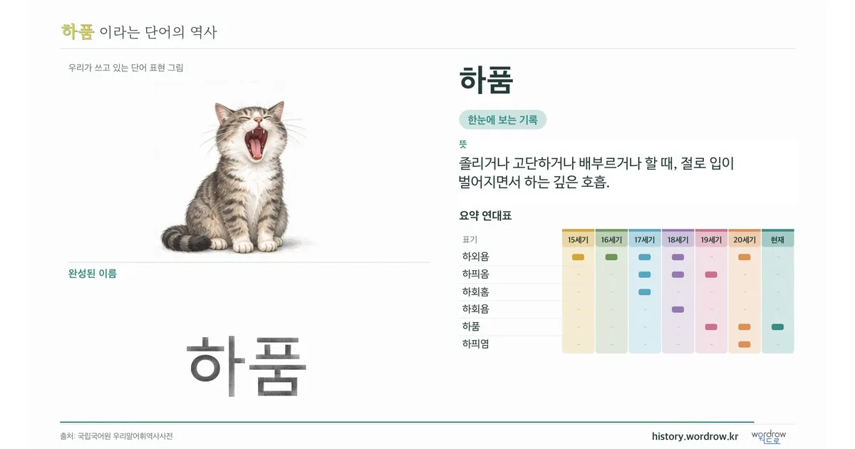 하품 대표 이미지
