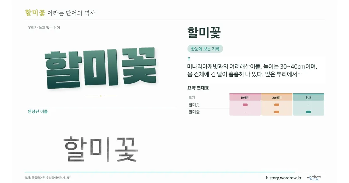 할미꽃 대표 이미지