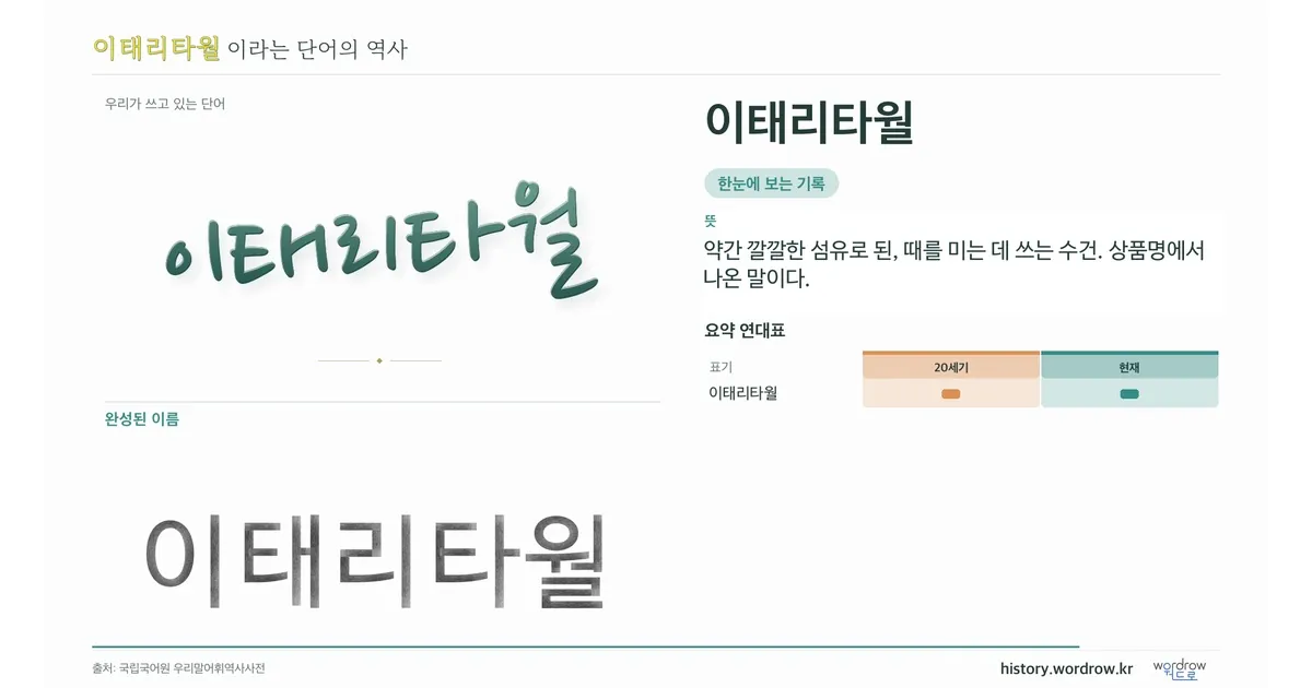 이태리타월 대표 이미지