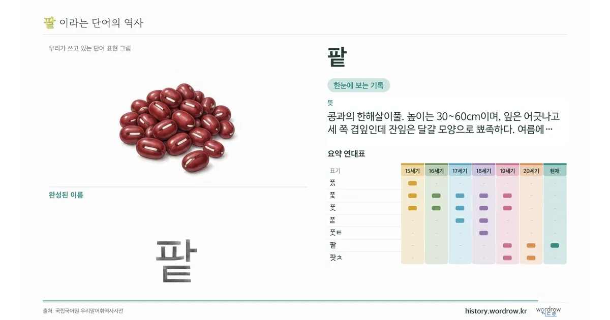 팥 대표 이미지