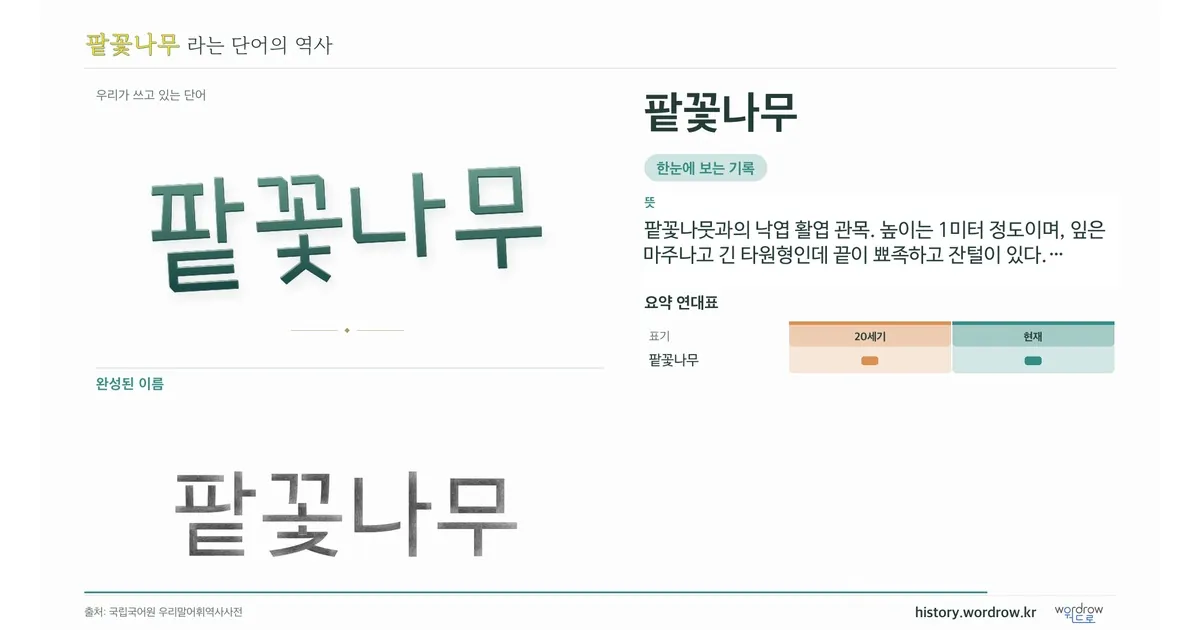팥꽃나무 대표 이미지