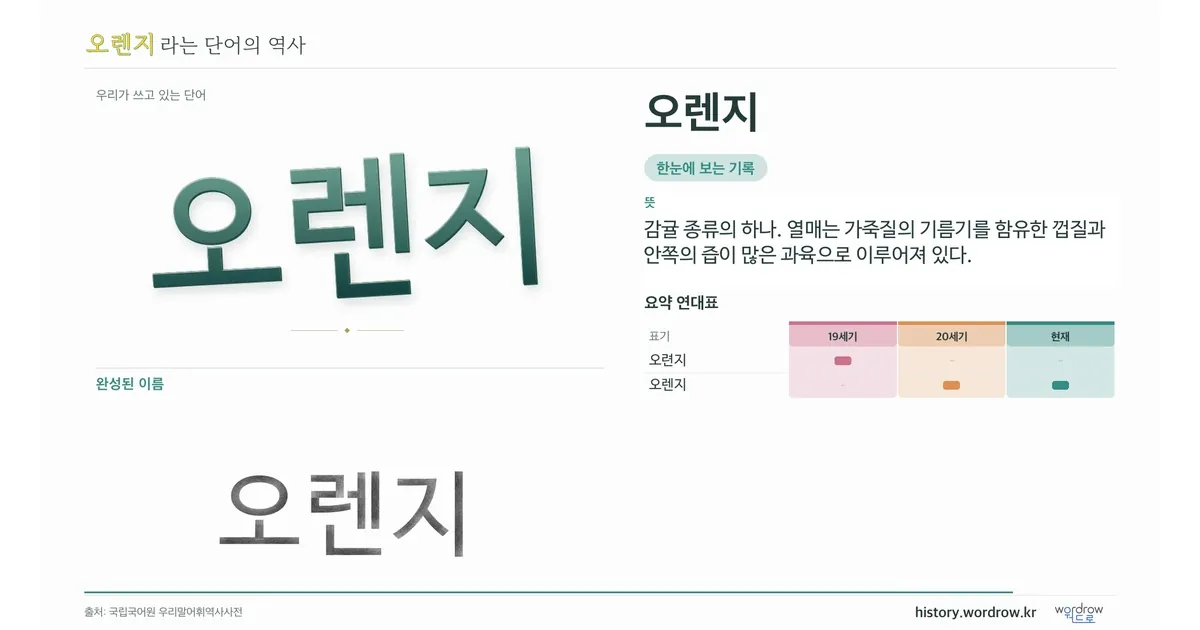 오렌지 대표 이미지