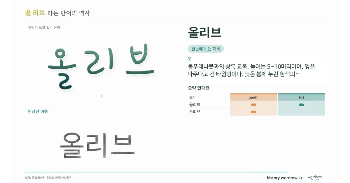 올리브 대표 이미지
