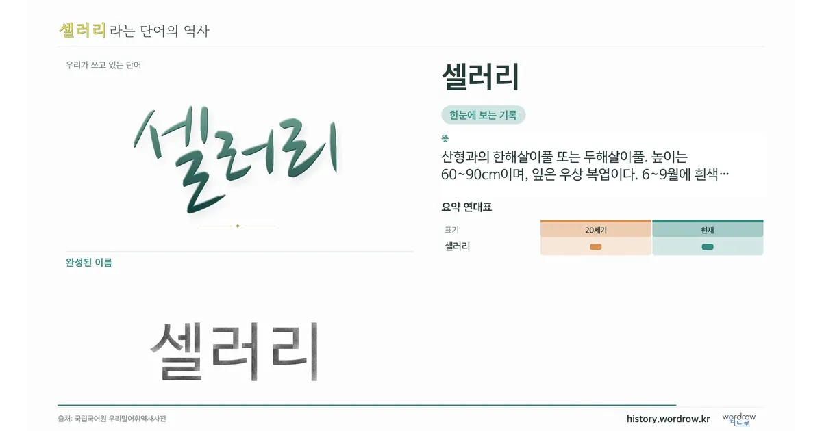 셀러리 대표 이미지