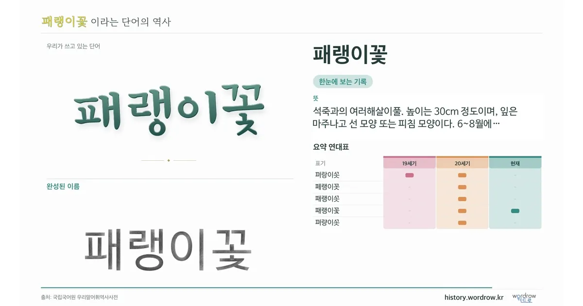 패랭이꽃 대표 이미지