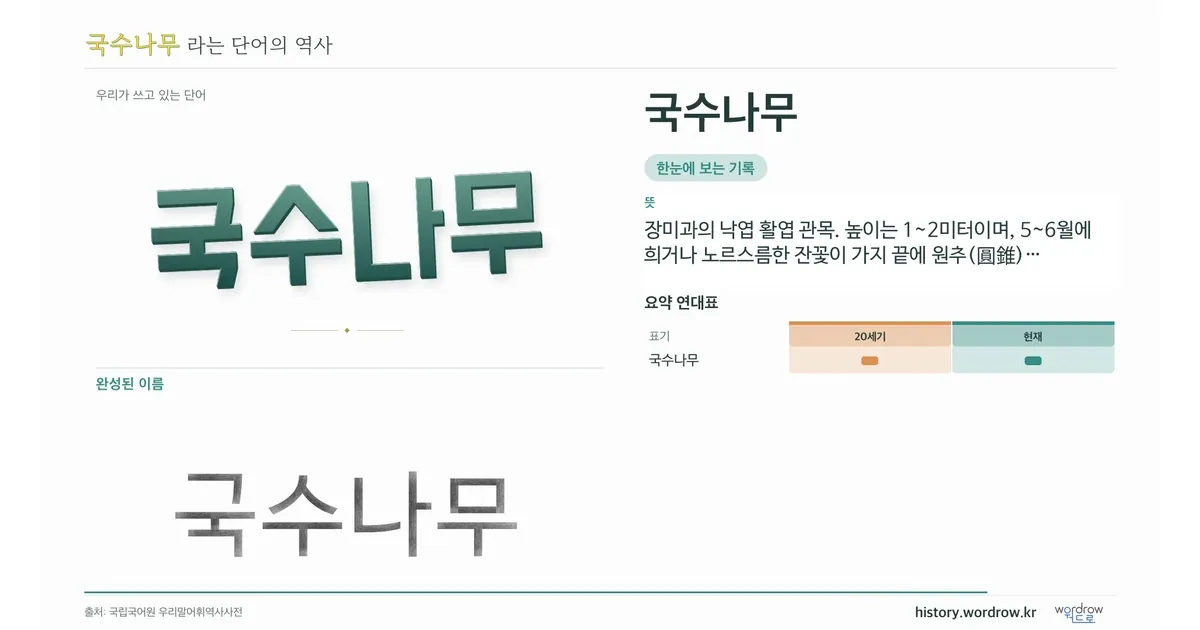 국수나무 대표 이미지