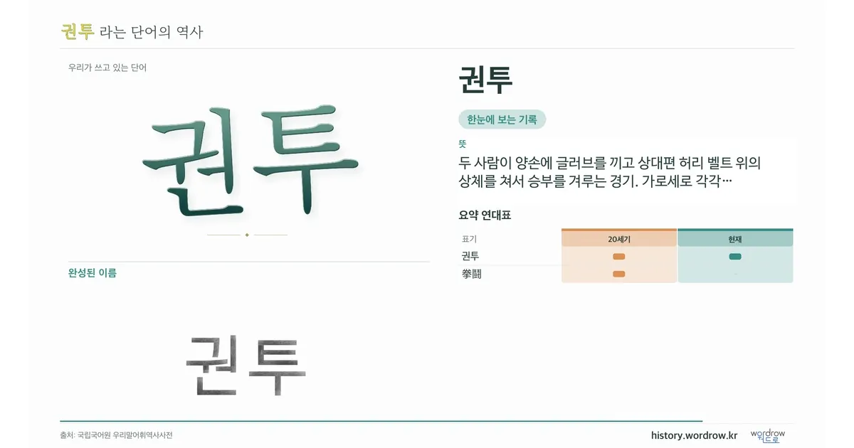 권투 대표 이미지