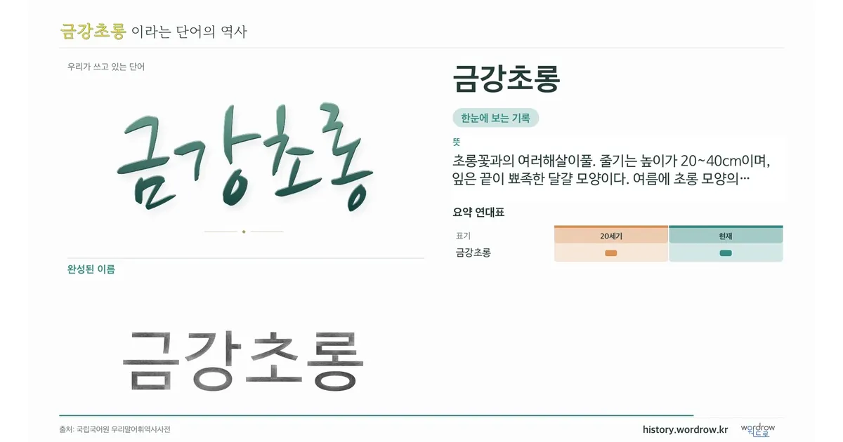 금강초롱 대표 이미지