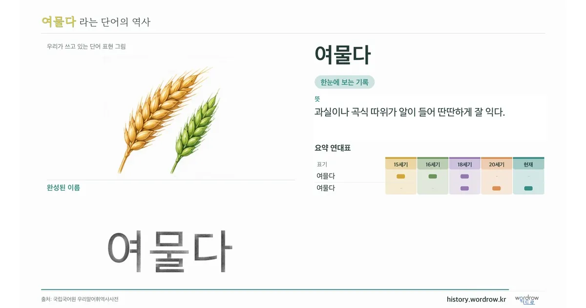 여물다 대표 이미지