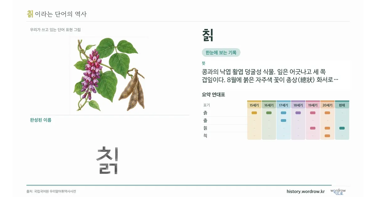 칡 대표 이미지