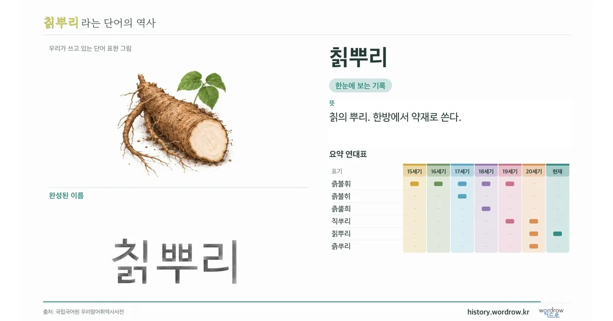 칡뿌리 대표 이미지
