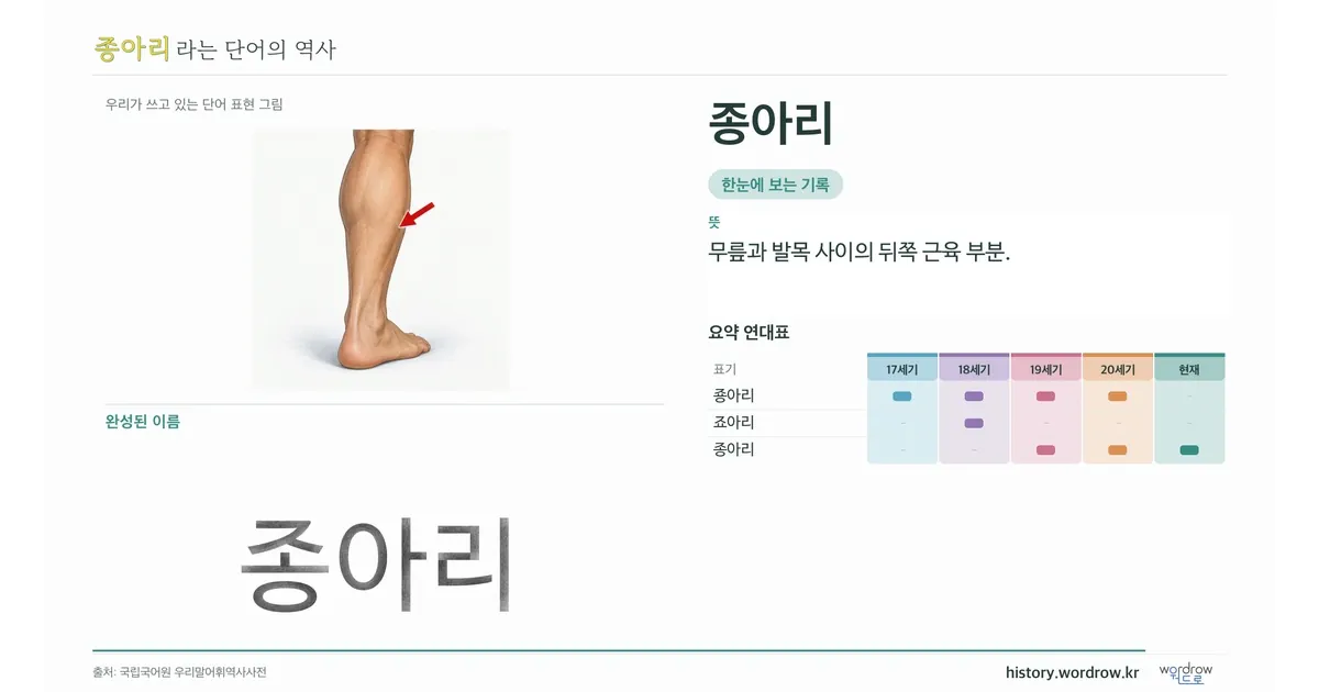 종아리 대표 이미지