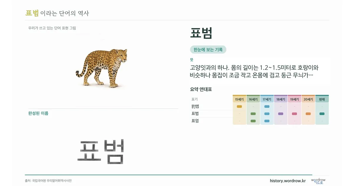 표범 대표 이미지