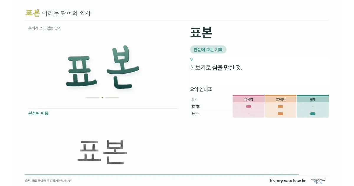 표본 대표 이미지