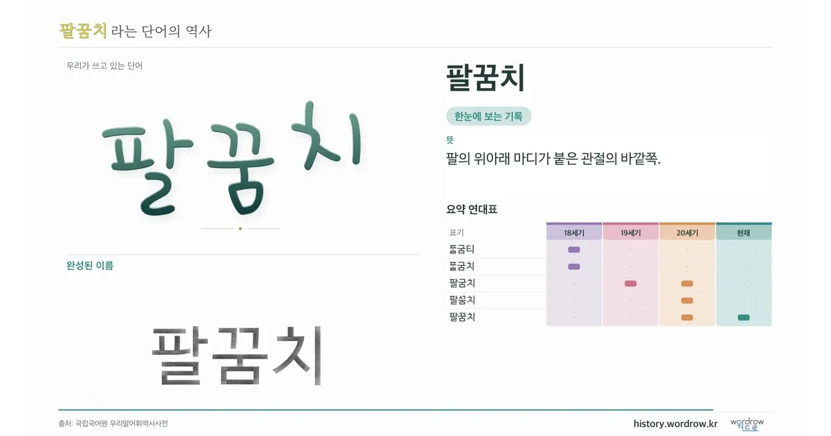 팔꿈치 대표 이미지