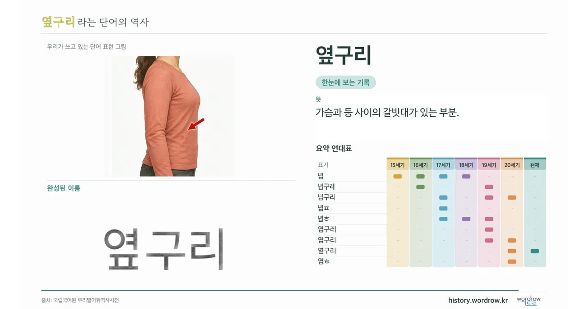 옆구리 대표 이미지