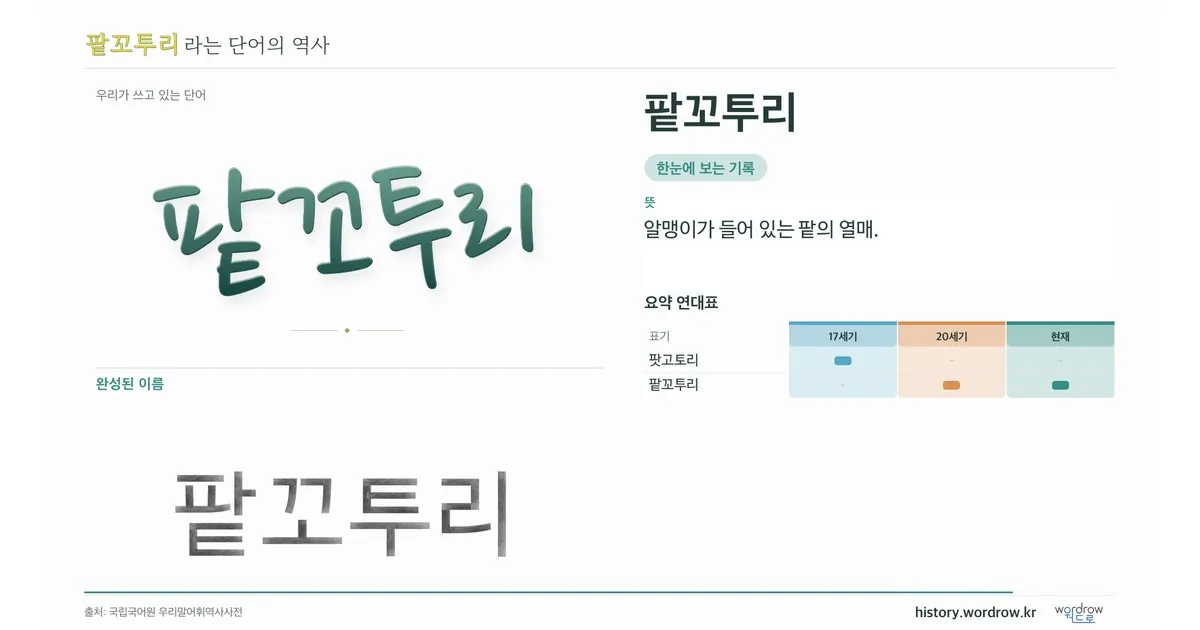 팥꼬투리 대표 이미지