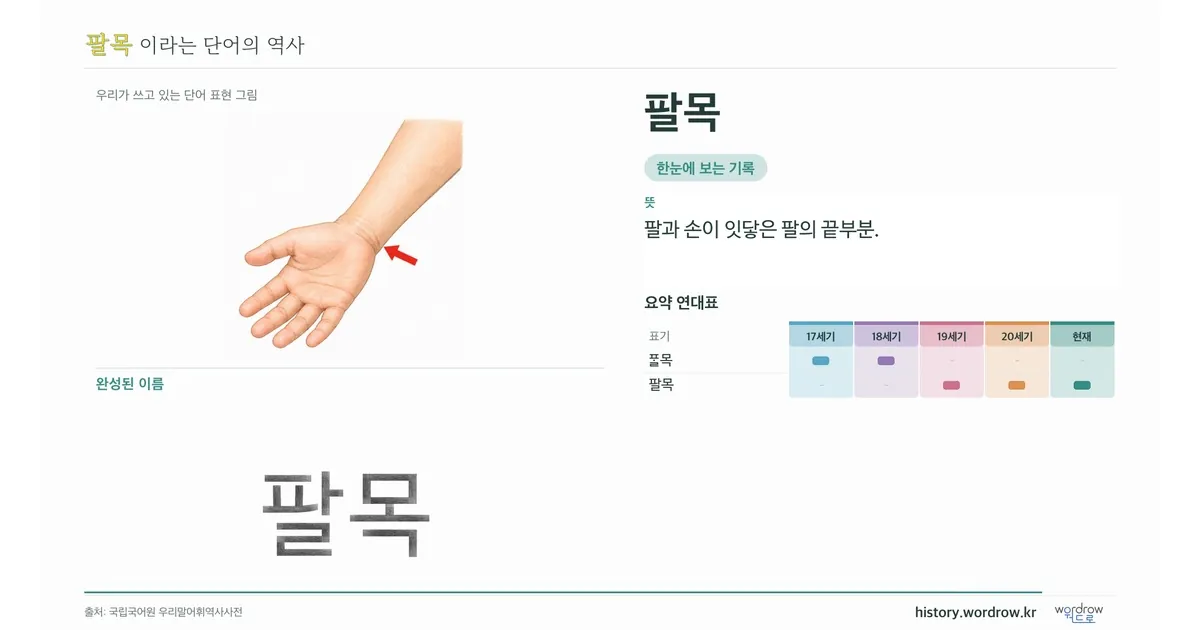팔목 대표 이미지