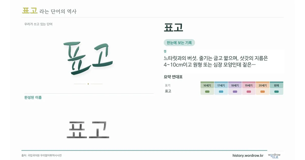 표고 대표 이미지