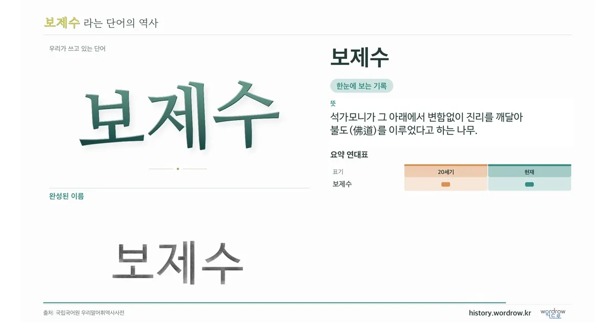 보제수 대표 이미지