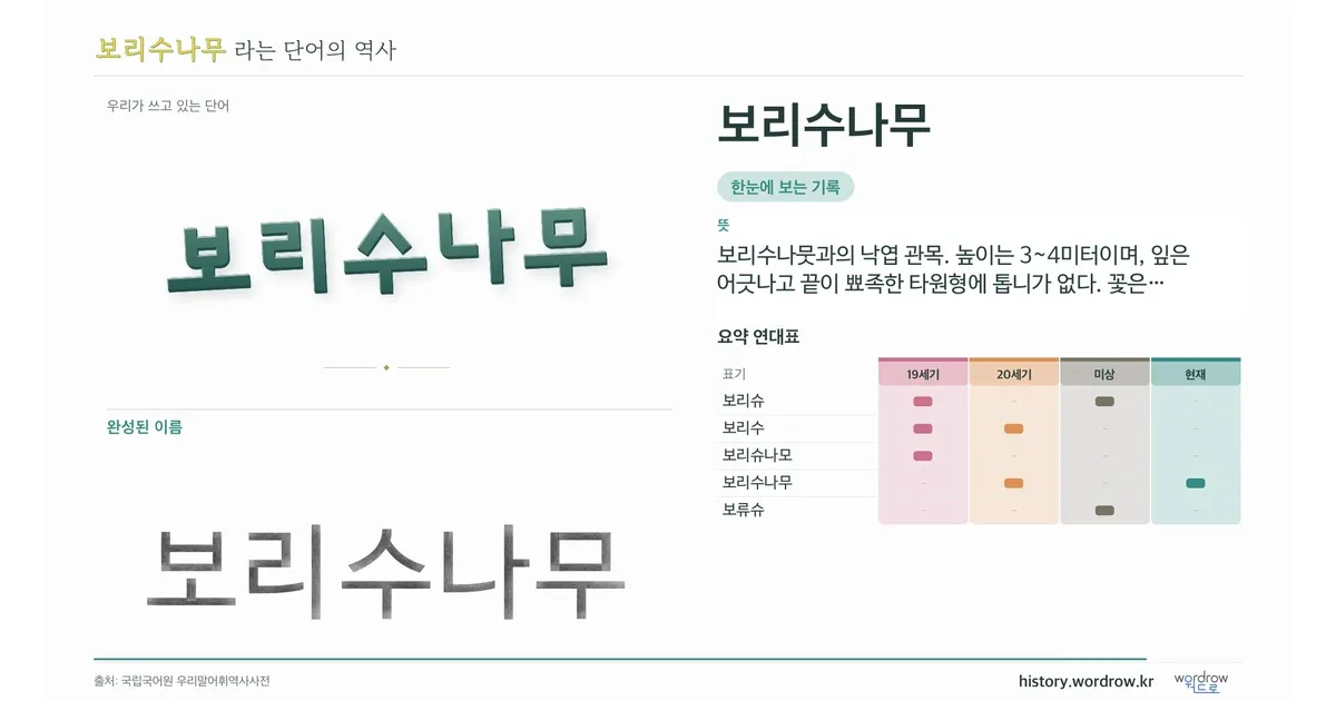 보리수나무 대표 이미지
