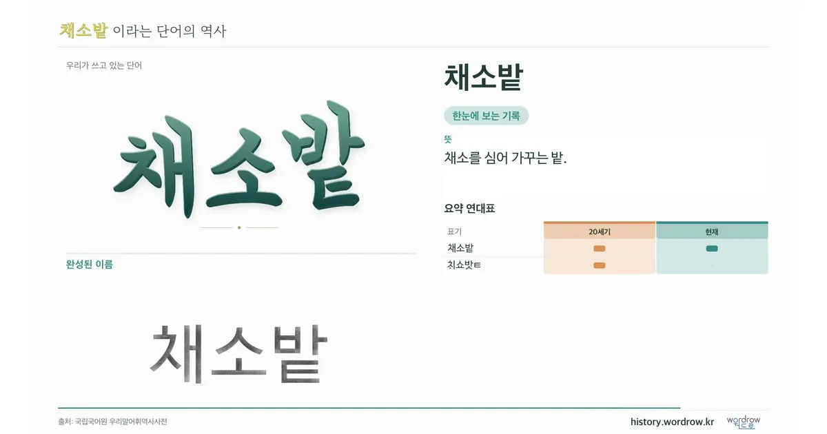 채소밭 대표 이미지