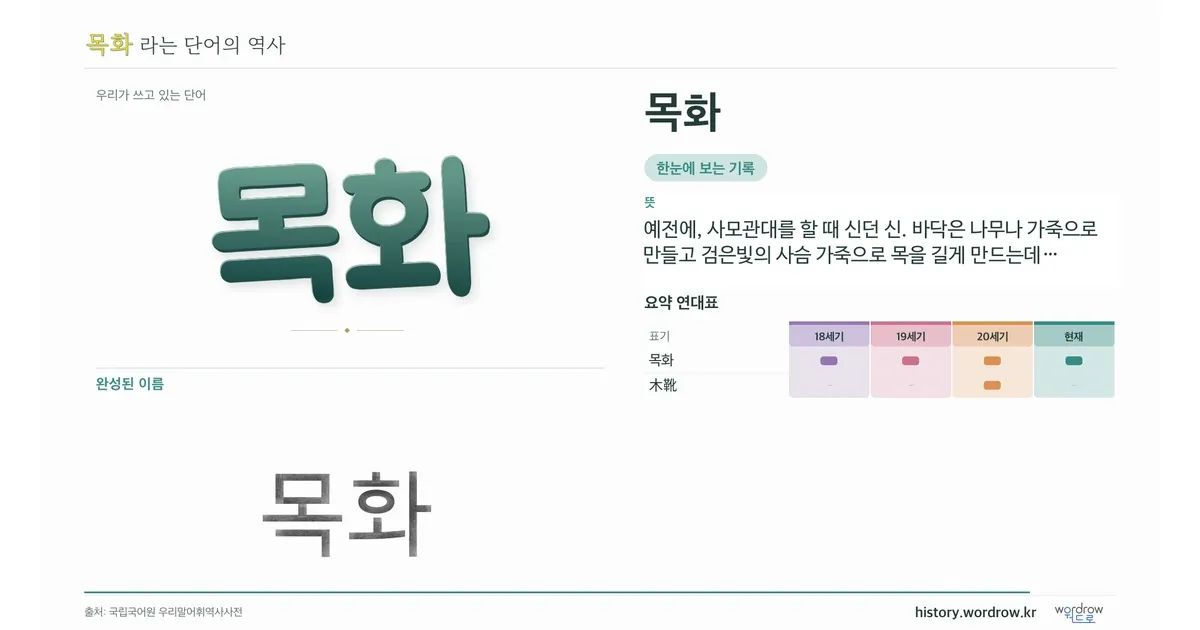 목화 대표 이미지