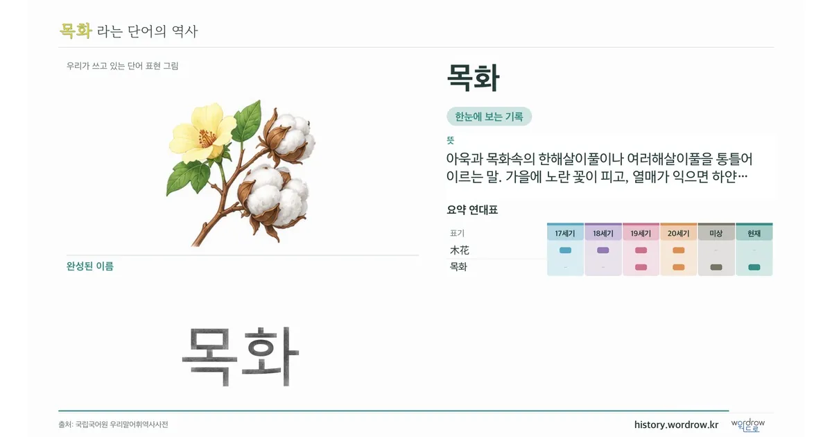 목화 대표 이미지