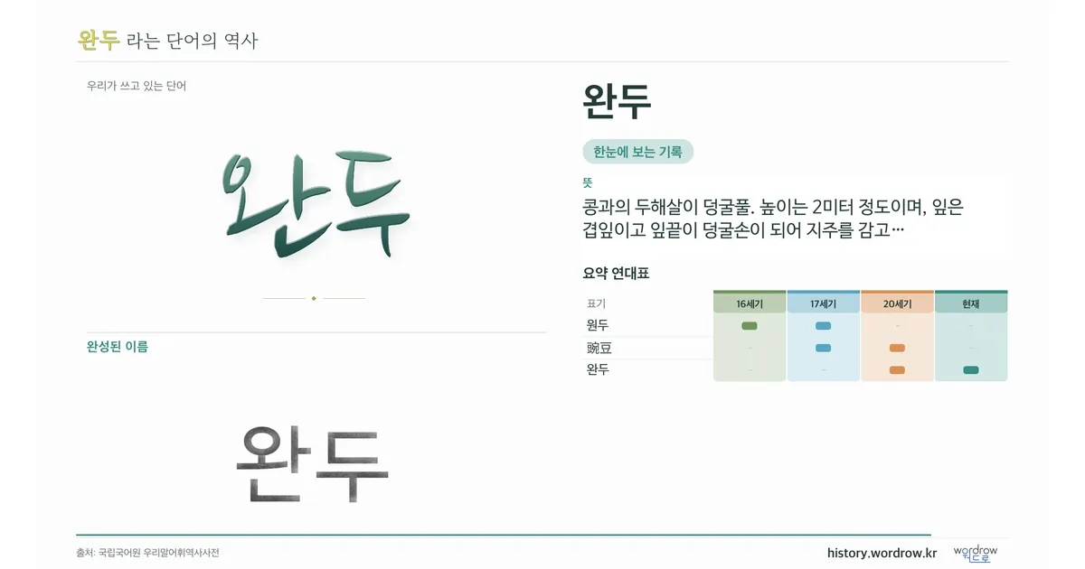 완두 대표 이미지