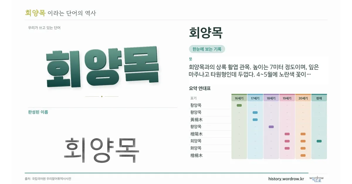 회양목 대표 이미지