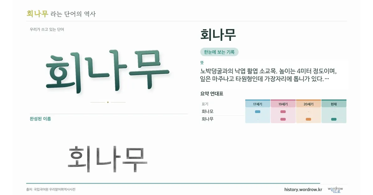 회나무 대표 이미지