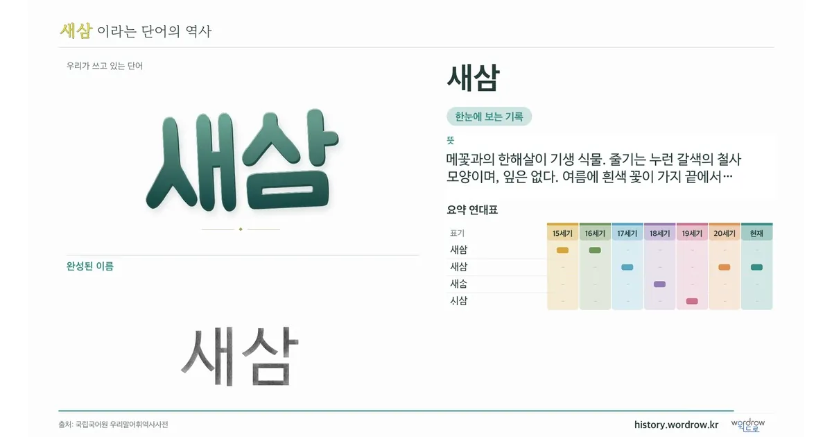 새삼 대표 이미지