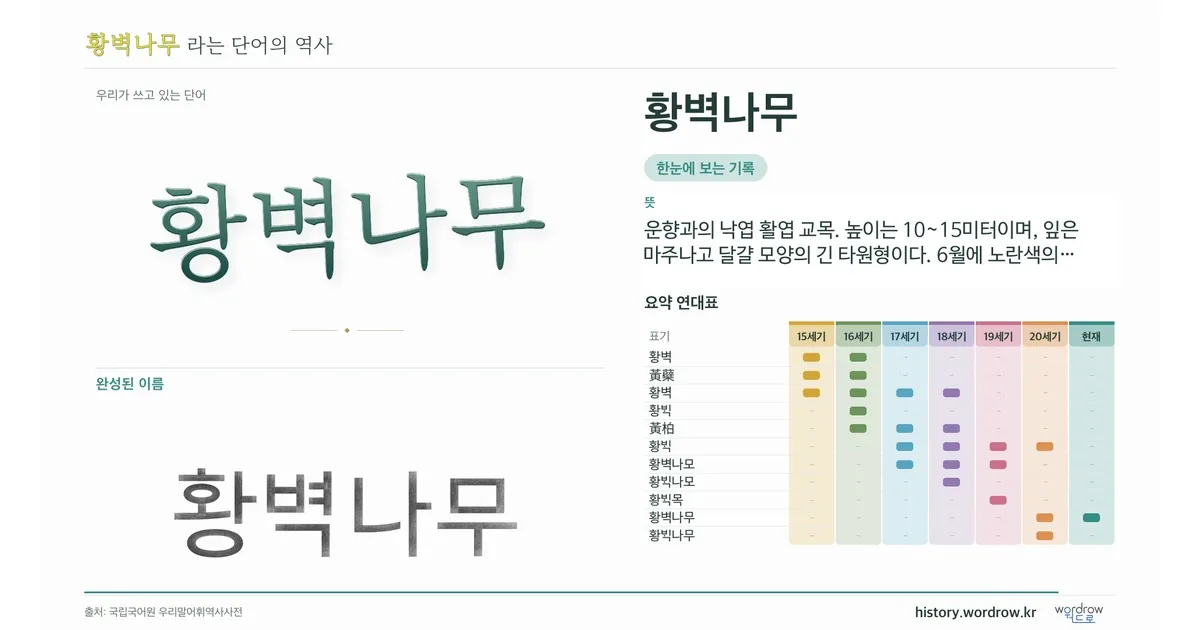 황벽나무 대표 이미지