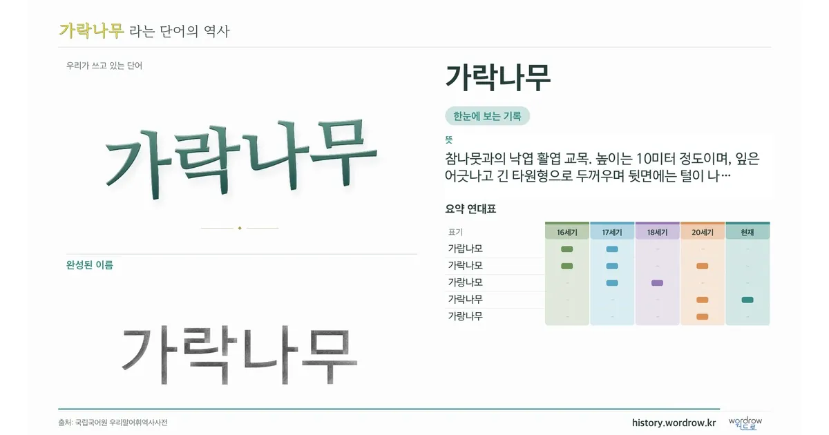가락나무 대표 이미지