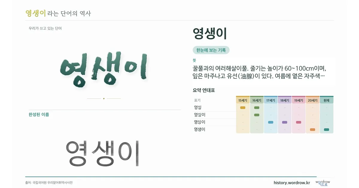 영생이 대표 이미지