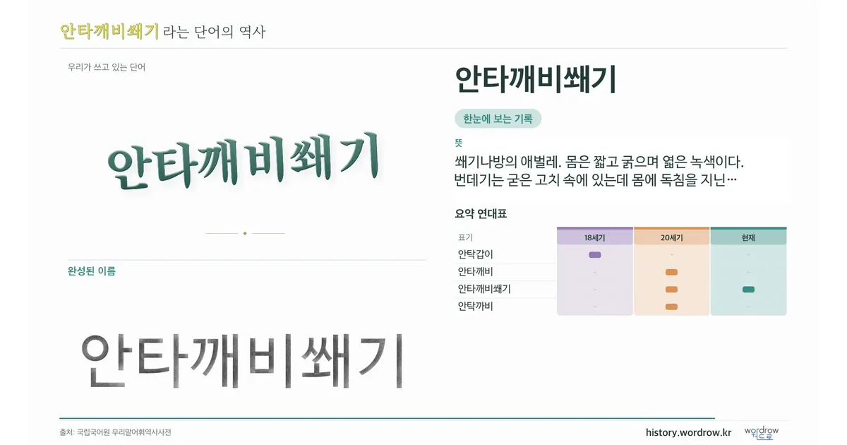 안타깨비쐐기 대표 이미지