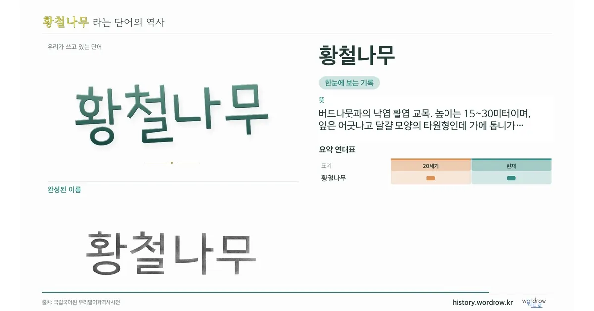 황철나무 대표 이미지