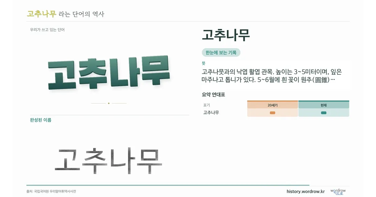 고추나무 대표 이미지